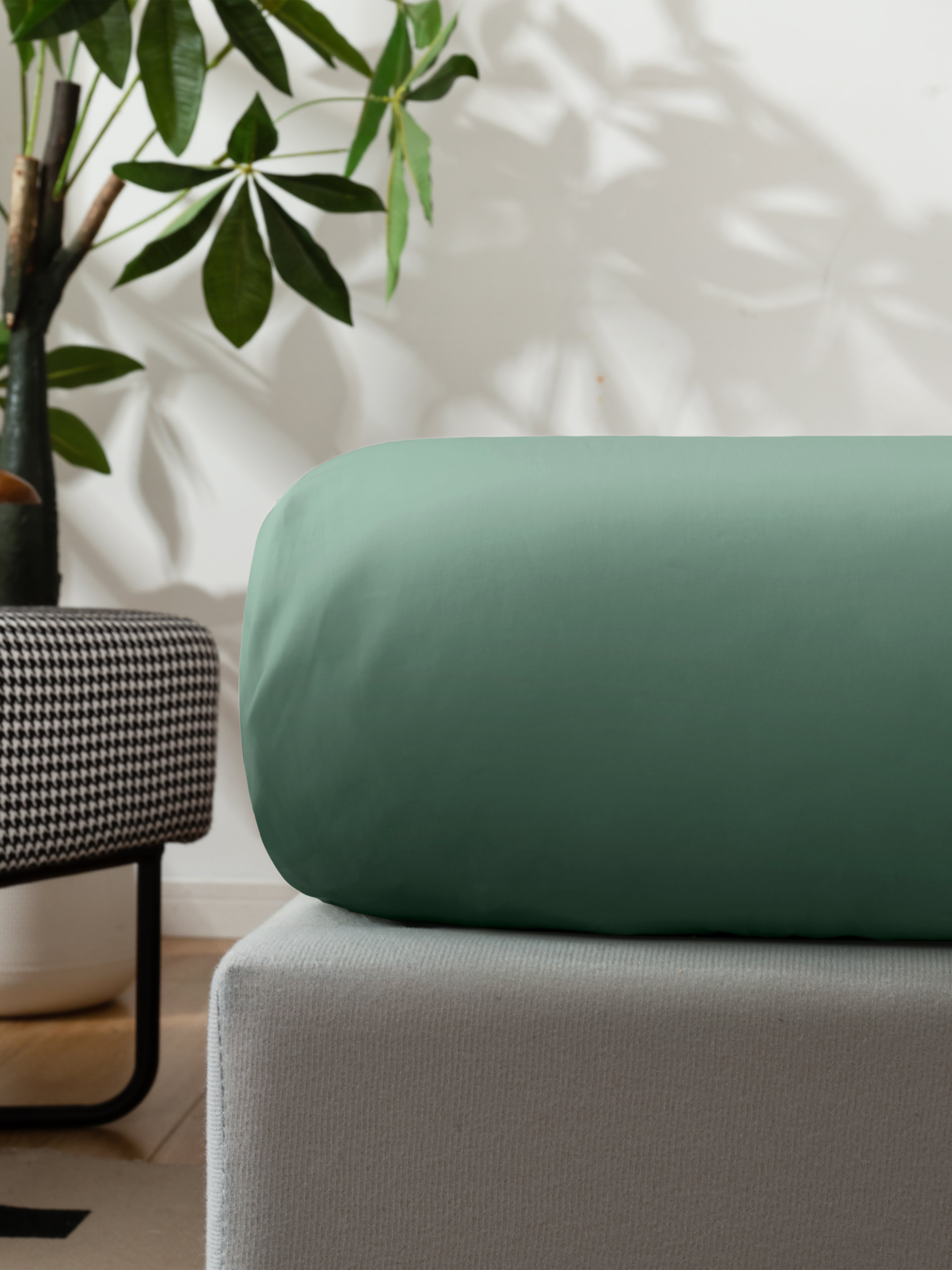 Signature Cotton Fitted Sheet