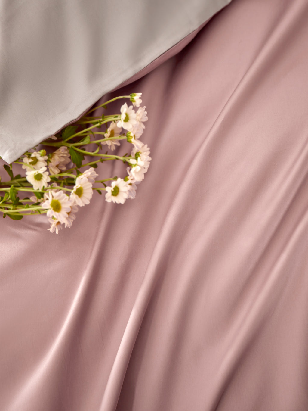 Signature Parure Coton Blush Reverie